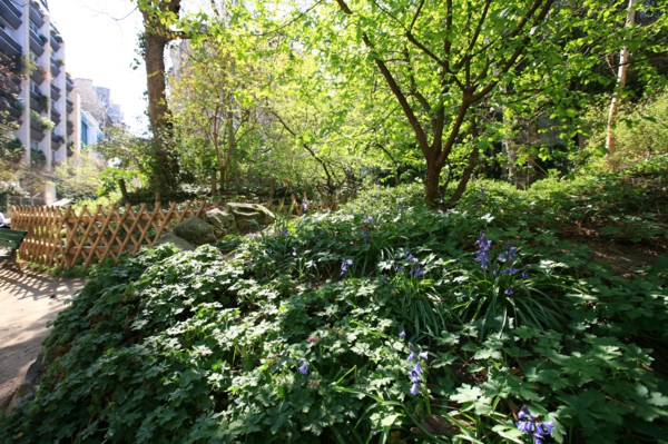 France, ile de france, paris 7e arrondissement, jardin roger stephane, au bout de la rue recamier.
Date : 2011-2012
