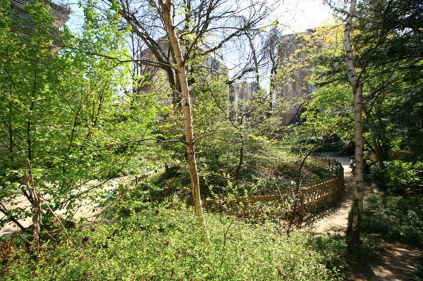 France, ile de france, paris 7e arrondissement, jardin roger stephane, au bout de la rue recamier.
Date : 2011-2012