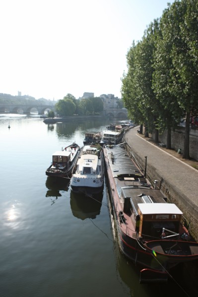 France, ile de france, paris 1e, pont des arts, la Seine passerelle entre louvre et institut de france, vue sur le quai de conti, le pont neuf et la pointe de l'ile de la cite, square du vert galant, ...