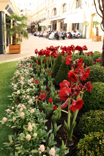France, ile de france, paris 8e arrondissement, cite berryer, rue royale, boutiques, mode

Date : 2011-2012