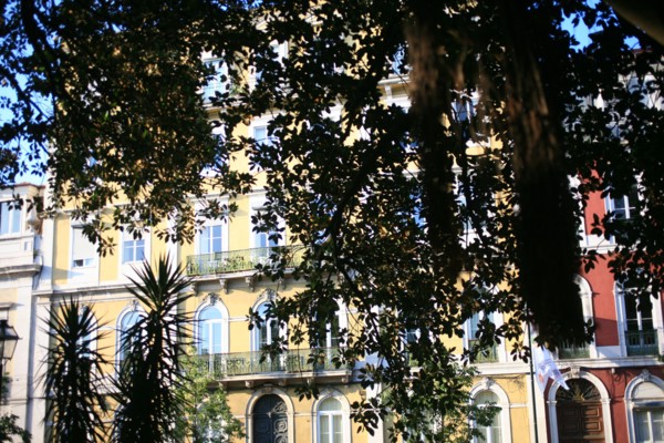 portugal, lisbonne, lisboa, signes de ville, principe real, arbres et circulation
Date : septembre 2011