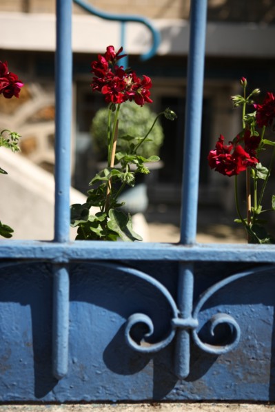 France, ile de france, paris 13e arrondissement, butte aux cailles, villa daviel, maisons et jardins, pavillons pres de la petite alsace, belle captive



Date : 2011-2012