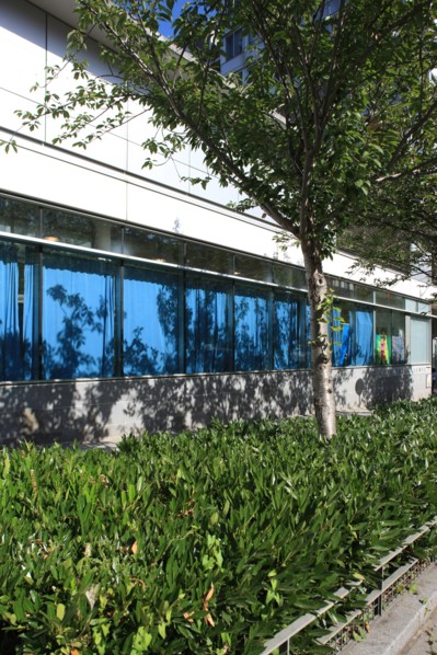 France, ile de france, paris, 13e arrondissement, zac paris rive gauche, rue georges balanchine, groupe scolaire george balanchine, ecole elementaire et ecole maternelle, education,


Date : 2011-2012