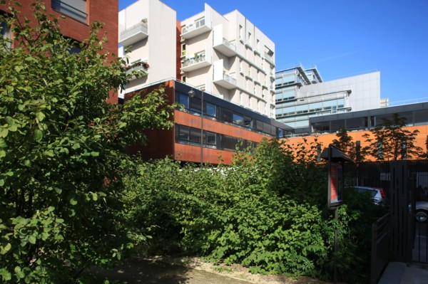France, ile de france, paris, 13e arrondissement, zac paris rive gauche, rue rene goscini, groupe scolaire primo levi, ecole elementaire et ecole maternelle, education,


Date : 2011-2012