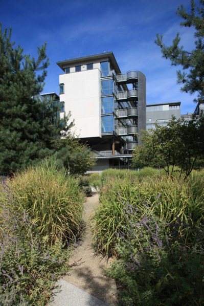 France, ile de france, paris, 13e arrondissement, zac paris rive gauche, rue thomas mann, college thomas mann, education, ecole,


Date : 2011-2012