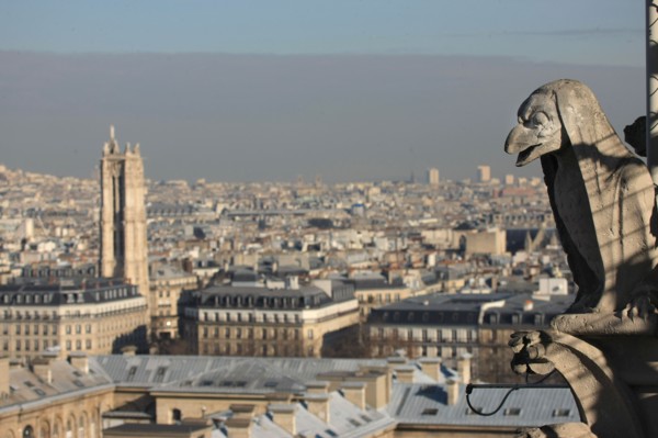 France, ile de france, paris 4e arrondissement, ile de la cite, parvis, notre dame de paris, cathedrale, montee aux tours, panorama,