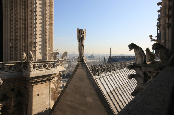 France, ile de france, paris 4e arrondissement, ile de la cite, parvis, notre dame de paris, cathedrale, montee aux tours, panorama,