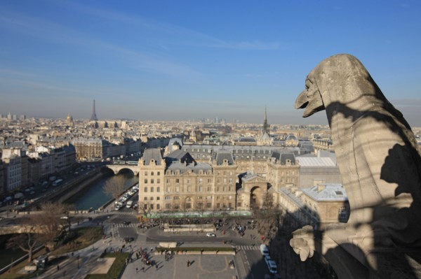 France, ile de france, paris 4e arrondissement, ile de la cite, parvis, notre dame de paris, cathedrale, montee aux tours, panorama,