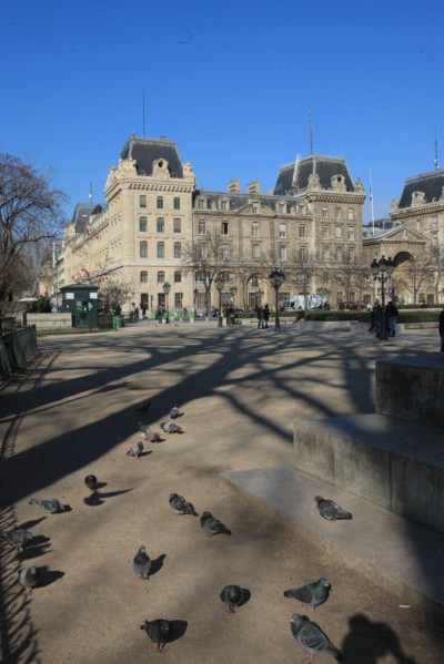 France, ile de france, paris 4e arrondissement, ile de la cite, parvis, notre dame de paris, cathedrale, montee aux tours, panorama, pigeons,