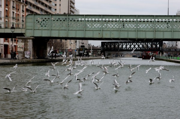France, ile de france, paris 10e arrondissement, canal de l'ourcq, quai de l'oise, mouette, pont ferroviaire, bateau, peniche, passerelle, transport fluvial, crimee,