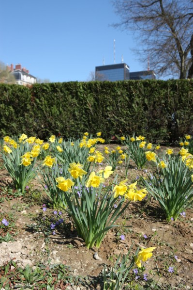 France, ile de france, paris 20e arrondissement, square severine, porte de bagnolet, jardin public,