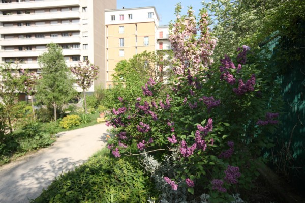 France, ile de france, paris 20e arrondissement, rue michel de bourges, square casque d'or, jardin public, fleurs, simone signoret, jacques becker, film,