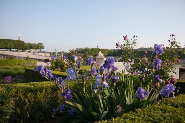 France, Region Ile de France, Paris, 1er arrondissement, jardin des Tuileries, bassin,