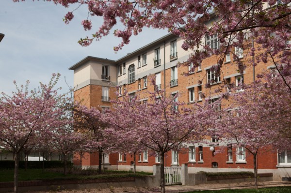 France, Region Ile de France, Hauts de Seine, Suresnes, cite jardin, arbres en fleur,