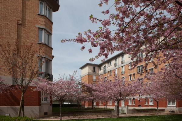 France, Region Ile de France, Hauts de Seine, Suresnes, cite jardin, arbres en fleur,