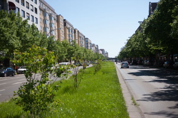 Allemagne (Germany), Berlin, Friedrichshain, immeuble, ancien Berlin Est, avenue avec terre plein central