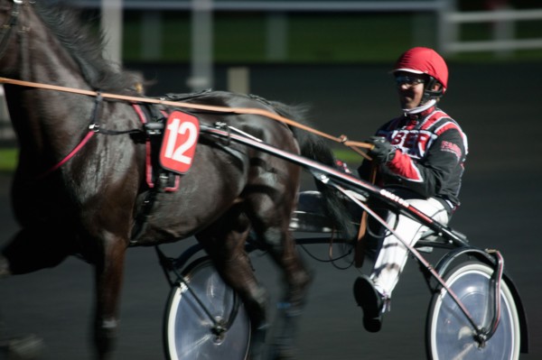 France, Ile de France, Val-de-Marne, Boissy-Saint-Leger, centre d'entrainement de Grosbois, chateau, trot, courses hippiques,