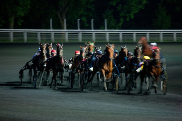 France, Ile de France, Val-de-Marne, Boissy-Saint-Leger, centre d'entrainement de Grosbois, chateau, trot, courses hippiques,