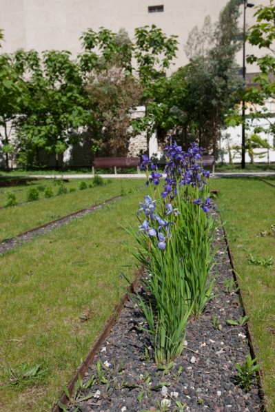 France, Ile de France, Hauts-de-Seine, ville de Clichy-la-Garenne, rue des Cailloux, parc Marcel Bich,
Mention obligatoire : CRT PIdF