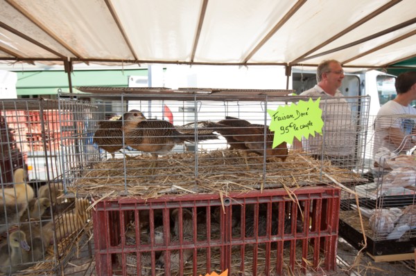 France, Ile de France, Essonne, Milly-la-Foret, halles du marche,
Mention obligatoire : CRT PIdF