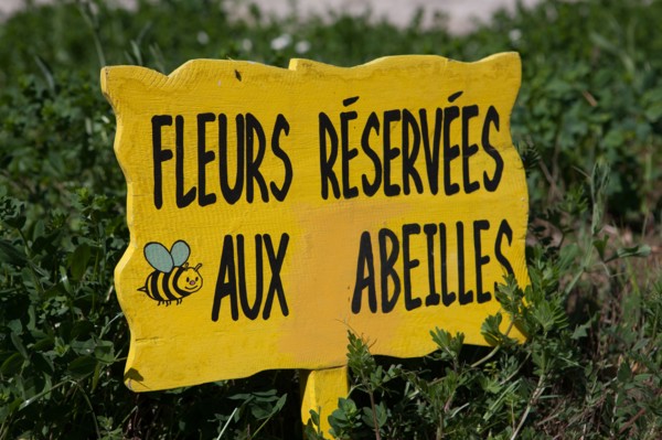 France, Ile de France, Essonne, Milly-la-Foret, office du tourisme, maison du Parc naturel Regional du Gatinais,
Mention obligatoire : CRT PIdF
