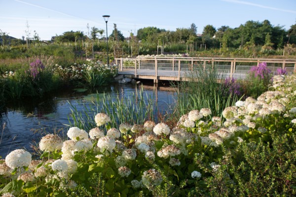 France, région Pays de la Loire, Loire Atlantique, Pornic, ria de Pornic, jardin paysagé.