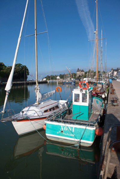 France, région Pays de la Loire, Loire Atlantique, Pornic, port et château.