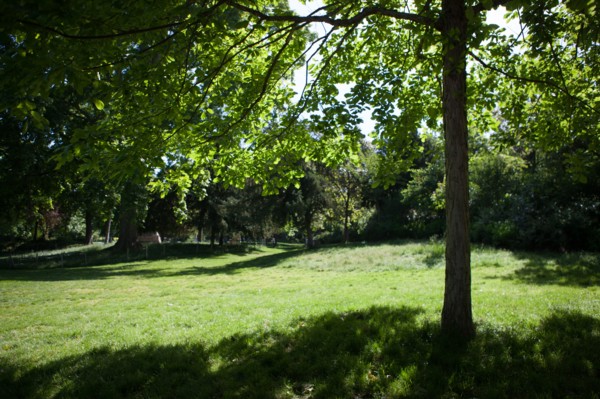 France, Région Ile de France, Paris 8e arrondissement, Parc Monceau,