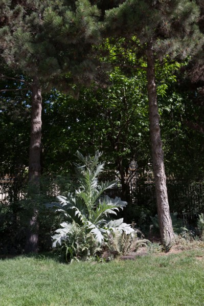 France, Région Ile de France, Paris 8e arrondissement, Parc Monceau,
