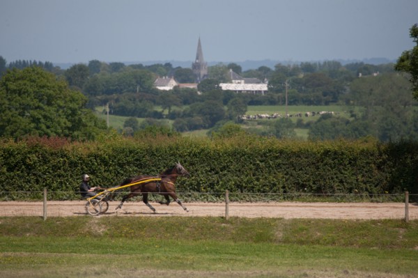 Manche,  Haras de Bellevent