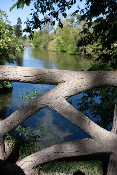 Paris 16e arrondissement,  Bois de Boulogne
