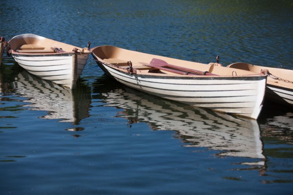 France, Région Ile de France, Paris 16e arrondissement, Bois de Boulogne, Lac Inférieur, barques,