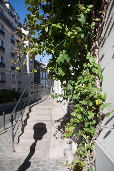 Paris 18e arrondissement,  Montmartre