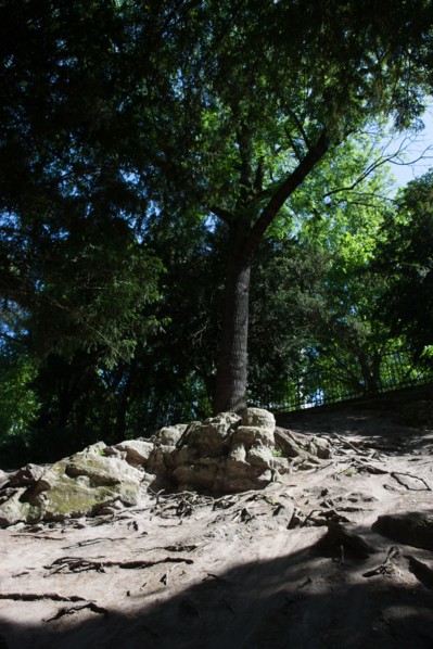 France, Région Ile de France, Paris 19e arrondissement, Parc des Buttes Chaumont, jardin, Ville de