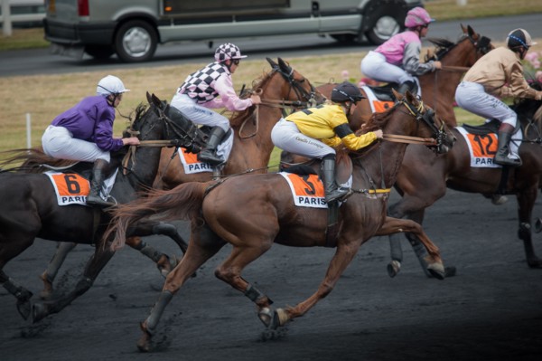 France, Région Ile de France, Val de Marne, hippodrome de Vincennes, Prix du Président de la