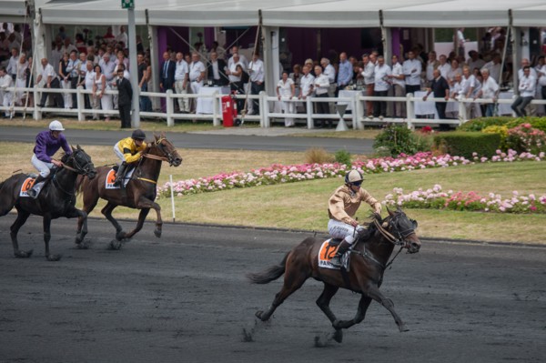 France, Région Ile de France, Val de Marne, hippodrome de Vincennes, Prix du Président de la