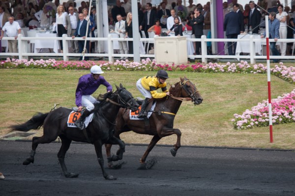 France, Région Ile de France, Val de Marne, hippodrome de Vincennes, Prix du Président de la