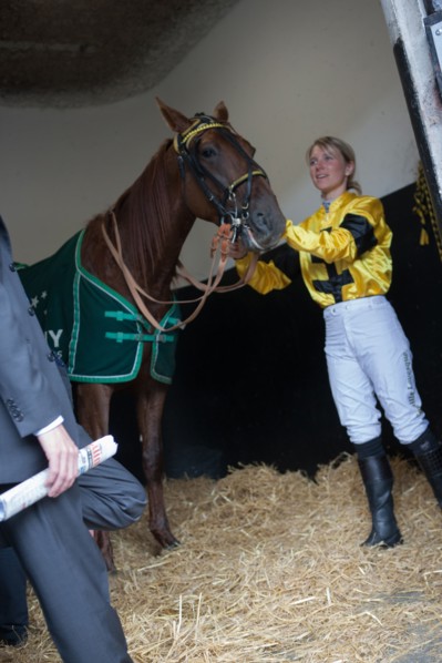 France, Région Ile de France, Val de Marne, hippodrome de Vincennes, Prix du Président de la