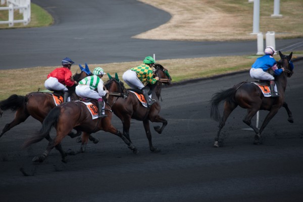 France, Région Ile de France, Val de Marne, hippodrome de Vincennes, Prix du Président de la