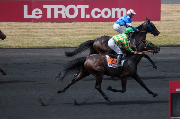 France, Région Ile de France, Val de Marne, hippodrome de Vincennes, Prix du Président de la