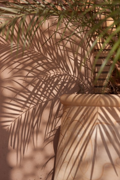 Afrique du nord, Maroc, Marrakech, Zaraba, Villa Hana, maison d'hôtes,