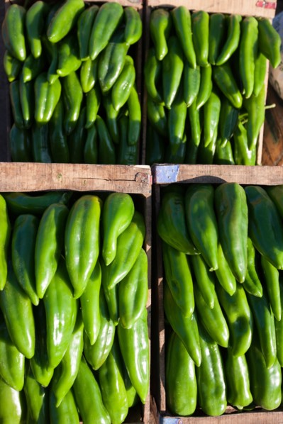 Afrique du nord, Maroc, Marrakech, souk, marché de gros, alimentaire,
