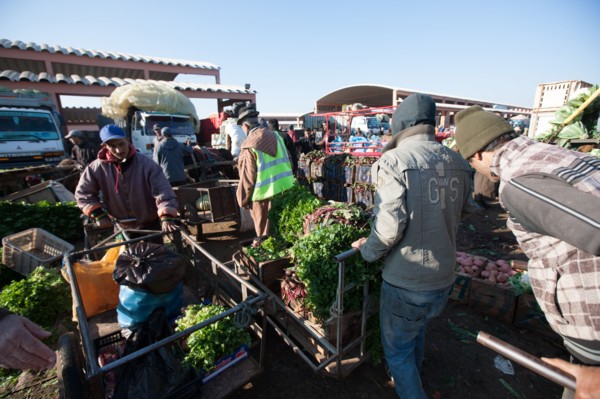 Afrique du nord, Maroc, Marrakech, souk, marché de gros, alimentaire,
