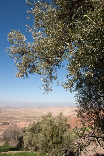 Afrique du nord, Maroc, Marrakech, pied du Haut Atlas, route d'Amizmiz, en direction de Sidi
