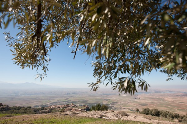 Afrique du nord, Maroc, Marrakech, pied du Haut Atlas, route d'Amizmiz, en direction de Sidi