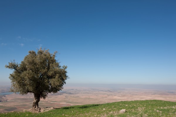 Afrique du nord, Maroc, Marrakech, pied du Haut Atlas, route d'Amizmiz, en direction de Sidi