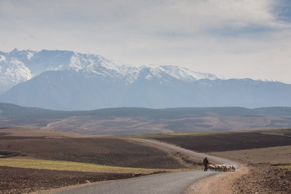 Afrique du nord, Maroc, Marrakech, pied du Haut Atlas, route d'Amizmiz, en direction de Sidi