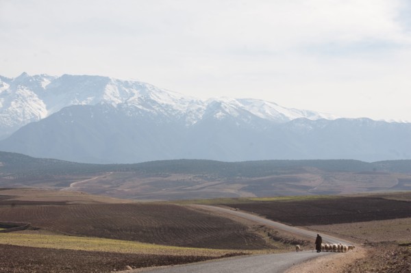 Marrakech,  pied du Haut Atlas