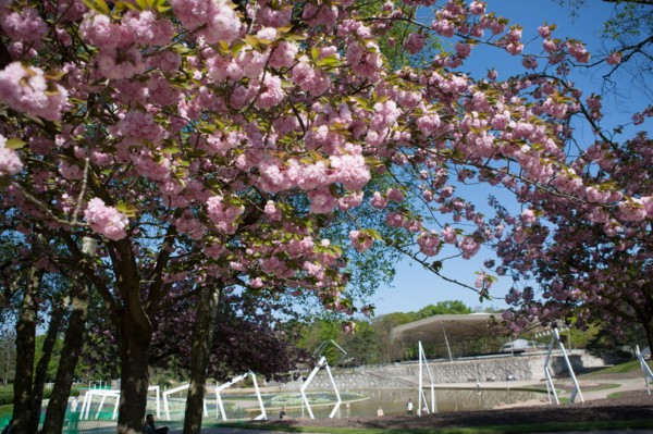 Bois De Vincennes, Parc Floral De Paris