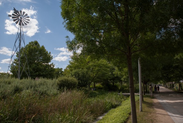 Parc Martin Luther King, Projet Clichy Batignolles